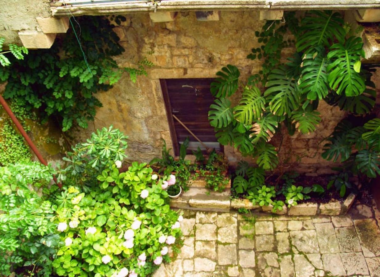 Apartment Giunio House, Old Town Centre